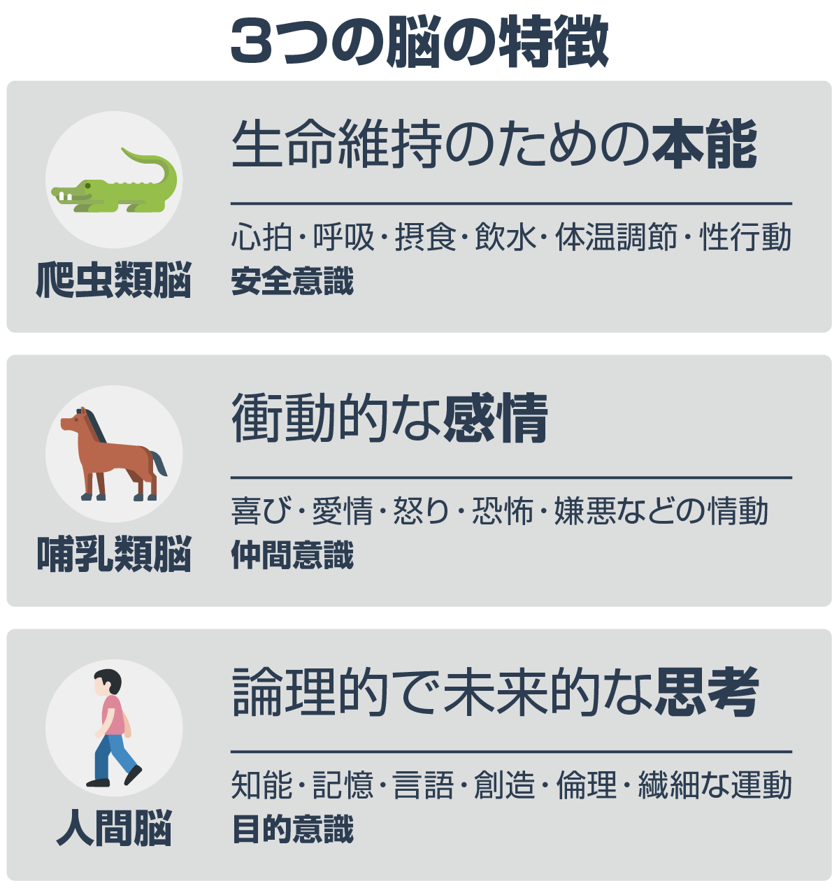 爬虫類脳 哺乳類脳 人間脳 3つの脳の構造でわかる人間の三大欲求 Web活用術